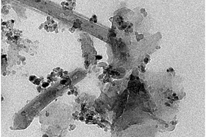 g‑C<sub>3</sub>N<sub>4</sub>‑TiO<sub>2</sub>/HNTs复合光催化剂的制备及其应用