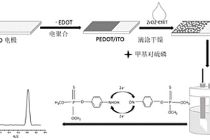 甲基对硫磷传感器及其构建方法和检测方法