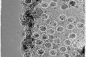 碳层负载的钨掺杂氮化钒纳米粒子复合电催化剂及制备方法和应用