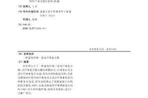 建筑用钢-连续纤维复合筋