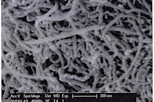 RuO<sub>2</sub>负载PEDOT纳米线的合成方法