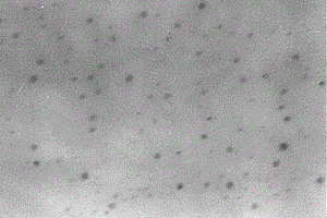 用于CO<Sub>2</Sub>捕集的磁性离子液体纳米复合吸附材料