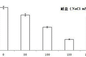 磷酸脲二铵全水溶液肥及其制备方法
