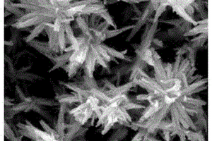 锥形棒组装的In<Sub>2</Sub>O<Sub>3</Sub>/ZnO微米花结构的合成方法