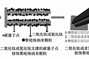 二氧化钛或氮化钛支撑的碳量子点修饰聚吡咯纳米阵列材料及其制备方法和应用