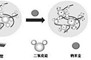 SiO<Sub>2</Sub>-MWCNTs有酶催化葡萄糖电化学传感器制备方法及应用