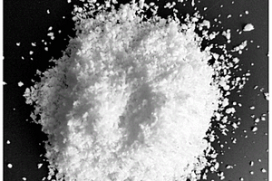 液态油脂固化方法与应用