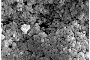 F-TiO2-x/Pt纳米光催化剂薄膜的制备方法及其在净化空气中的应用