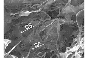 抗凝血抗菌生物医用材料及其制备方法