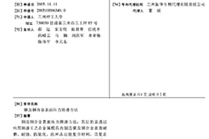 铜及铜合金表面压力铸渗方法