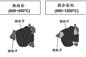 用于流体净化的过滤介质