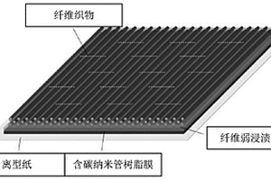 含碳纳米管的弱浸渍预浸料及其制备方法