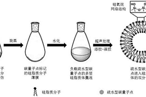 荧光型碳基陶瓷复合脂质体及其制备方法与应用