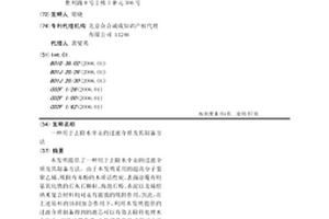用于去除水中汞的过滤介质及其制备方法
