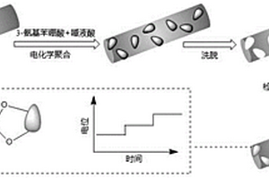 基于分子印迹聚合物修饰碳布电极的电位型唾液酸传感器