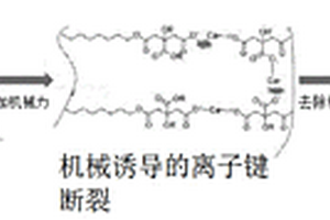 离子交联聚合物或低聚物组合物