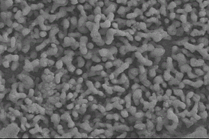 Cu-MOF/BiVO<sub>4</sub>复合光电极的制备方法和应用