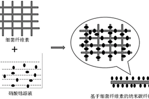 基于碳化细菌纤维素的纳米碳纤维及其组合物与应用