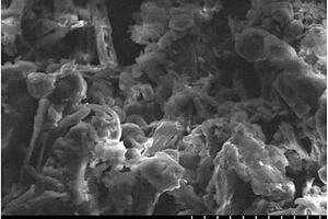 以二氧化三碳为改性剂的生物质微粉表面改性方法