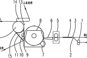 材料的复合装置及工艺