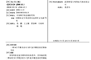SIC纤维表面C/ALN复合梯度涂层制备方法