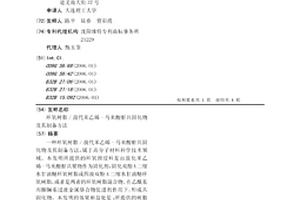 环氧树脂/溴代苯乙烯-马来酸酐共固化物及其制备方法