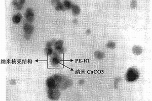 纳米核壳结构及β晶协同增韧聚丙烯的方法
