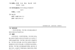 采用聚苯胺/凹凸棒土纸电极去除水中铅离子的电化学处理方法