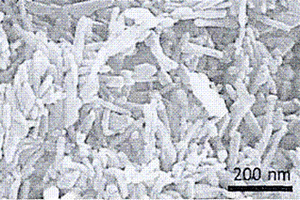 二维MoS<sub>2</sub>和TiO<sub>2</sub>纳米带异质结构材料的制备