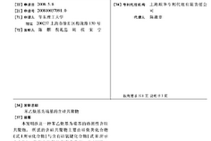 苯乙炔基为端基的含硅共聚物