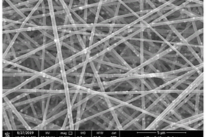 压电BaTiO<Sub>3</Sub>/Fe<Sub>3</Sub>O<Sub>4</Sub>/PAN静电纺丝吸波膜的制备及应用
