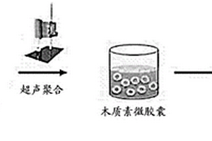 木质素微胶囊及其制备方法