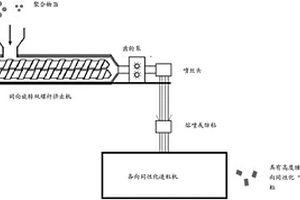 有高度缠结纳米原纤的各向同性化“即用型”塑性粒料及制备方法