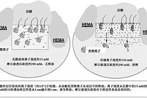 用于递送的边界表面带电荷的隐形镜片