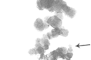 阻燃抗熔滴共聚酯纤维的制备方法