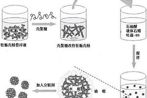 壳聚糖-牡蛎壳复合微球及其制备方法