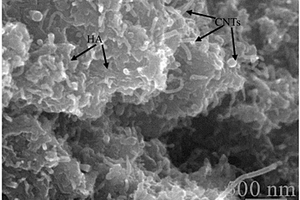 在Ca‑P基生物涂层中实现碳纳米管均匀分散的方法