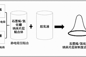 石墨烯贴合六方纳米片层氮化硼复合乳胶制备稳定浅色的高导热高隔绝性避孕套的方法