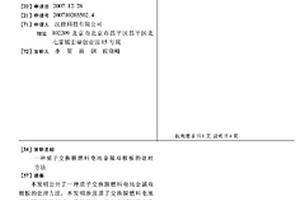 质子交换膜燃料电池金属双极板的处理方法