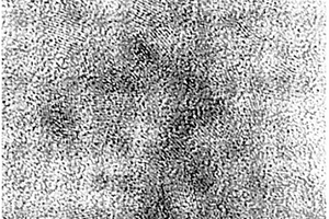纤锌矿结构CuInS2量子点及其制备方法