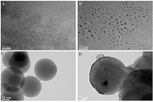 CDs/SiO<sub>2</sub>/AuNCs比率荧光探针、制备方法及应用