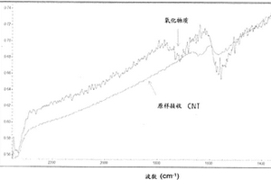 改性碳纳米管、其生产方法以及由此获得的产品