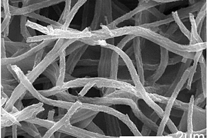 氮掺杂碳纳米点/磁性金属氧化物复合纳米纤维材料、制备方法及其应用