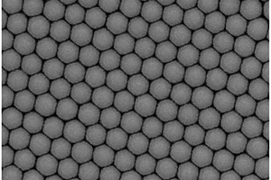 Ag/Cu<sub>2</sub>S复合SERS基底及其制备方法