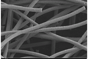可见光吸收范围宽的纳米纤维的制备方法