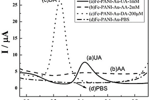 用于多巴胺、尿酸灵敏检测的Fe-PANI/Au修饰电极及其制备