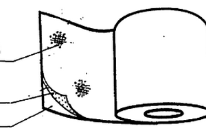 纳米憎水憎油服装面料