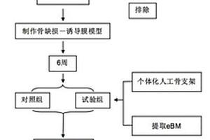强化骨髓复合的个体化人工骨支架、构建方法及其应用