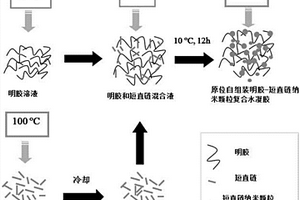 纳米复合水凝胶及其制备方法和应用