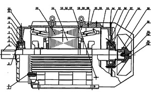 核电站用高压三相异步电动机